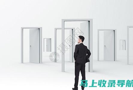 新手入门：什么是SEO网络优化及其应用场景分析